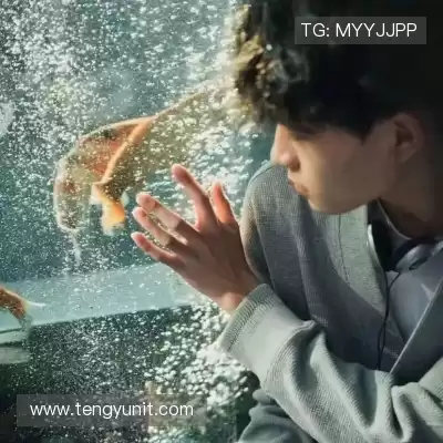 屈芸纯